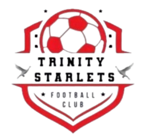 https://img.qinggengniao.com/img/football/team/0f61c21299f519932de0f987db80b196.png